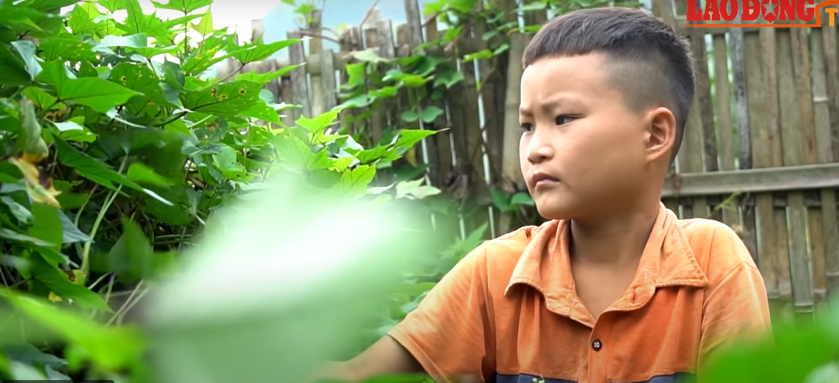 băiatul vietnamez care a rămas singur pe lume